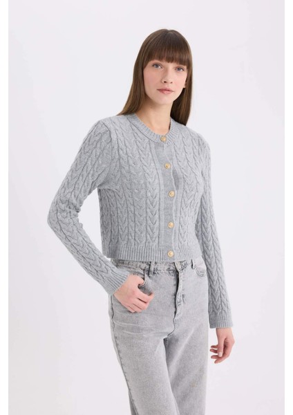 Regular Fit Bisiklet Yaka Selanik Örgü Desenli Triko Hırka C9044AX25SP