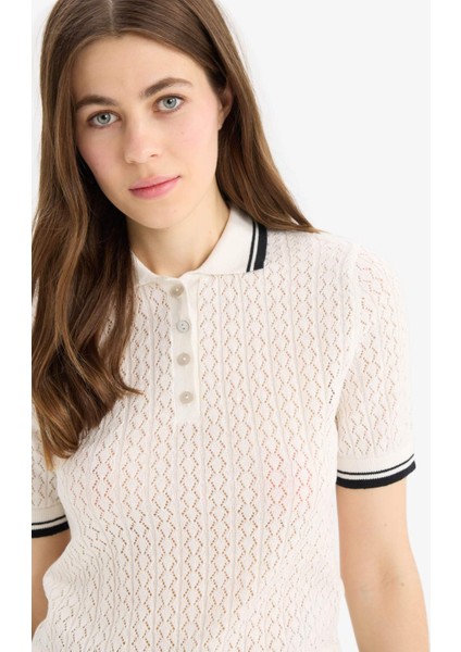 Regular Fit Polo Yaka Kısa Kollu Triko Kazak E7153AX25SP