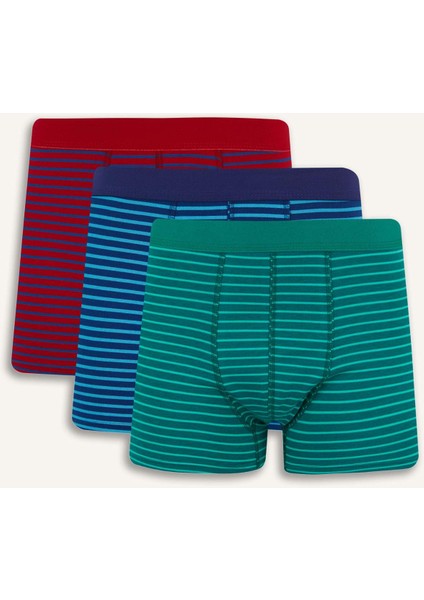 Regular Fit Çizgili 3'lü Boxer E7213AX25SM