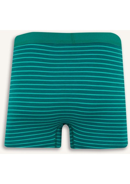 Regular Fit Çizgili 3'lü Boxer E7213AX25SM