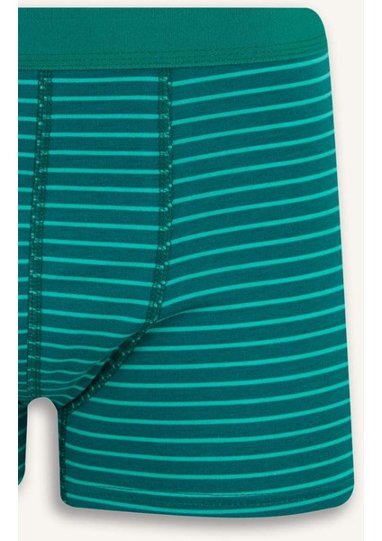 Regular Fit Çizgili 3'lü Boxer E7213AX25SM