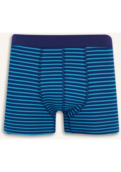 Regular Fit Çizgili 3'lü Boxer E7213AX25SM