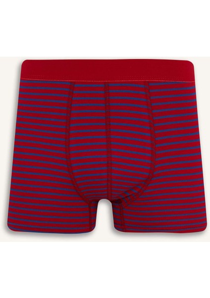 Regular Fit Çizgili 3'lü Boxer E7213AX25SM