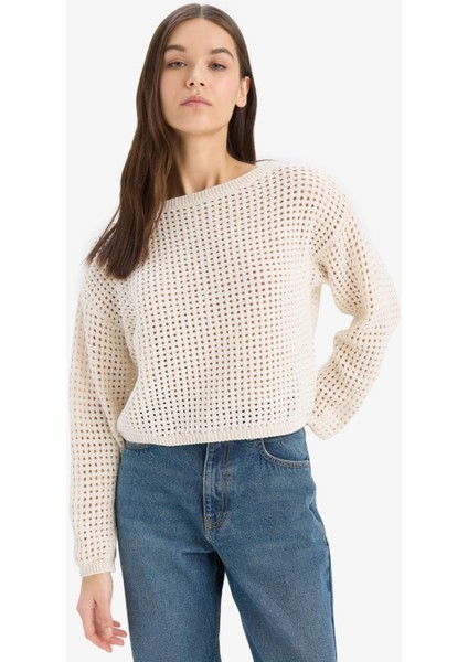 Regular Fit Bisiklet Yaka Kroşe Triko Kazak T4513AZ25SP