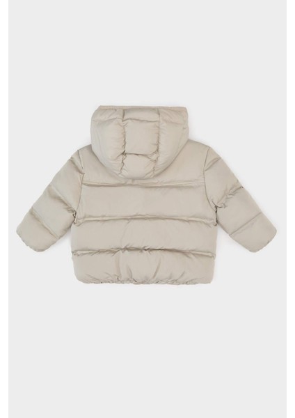 Erkek Bebek Kapüşonlu Fermuarlı Mont C6963A525AU