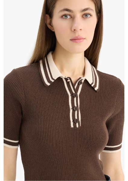 Regular Fit Düğmeli Polo Yaka Kısa Kollu Triko Kazak D4233AX25SP