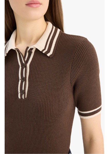 Regular Fit Düğmeli Polo Yaka Kısa Kollu Triko Kazak D4233AX25SP