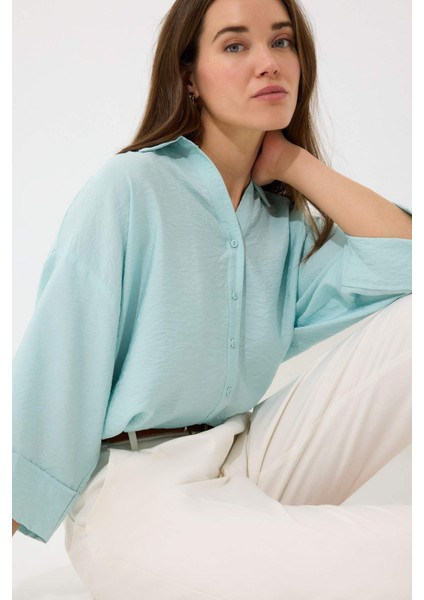 Regular Fit Apaş Yaka Baisc Düz Uzun Kollu Gömlek E5946AX25SP