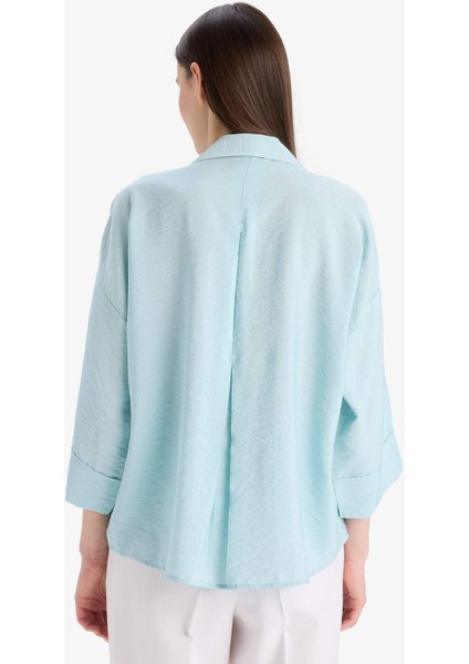 Regular Fit Apaş Yaka Baisc Düz Uzun Kollu Gömlek E5946AX25SP