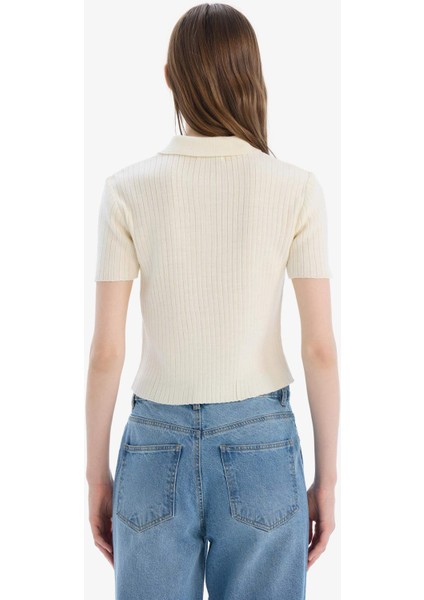 Slim Fit Dar Kesim Polo Yaka Kısa Kollu Triko Tişört N9752AZ25SP