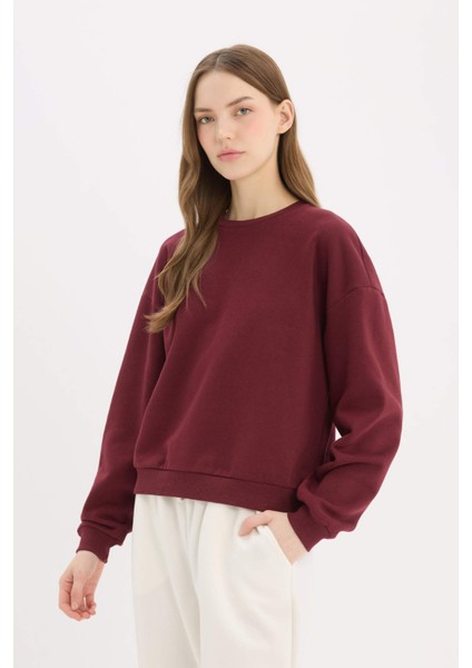 Regular Fit Bisiklet Yaka Kalın Basic Düz Sweatshirt D6645AX25SP