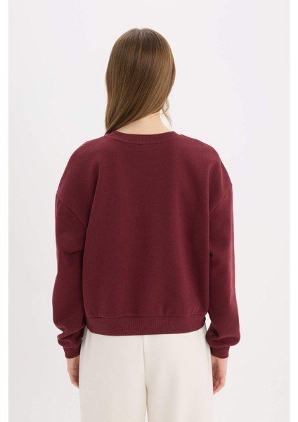 Regular Fit Bisiklet Yaka Kalın Basic Düz Sweatshirt D6645AX25SP