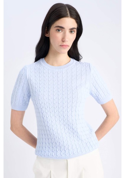 Regular Fit Bisiklet Yaka Basic Düz Triko Kısa Kollu Kazak D3306AX25SM