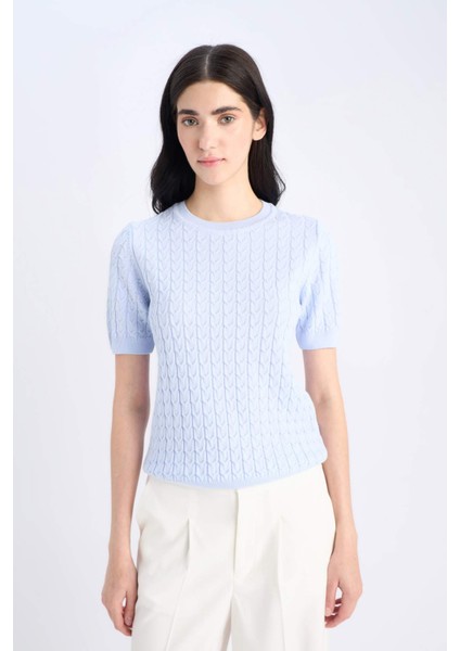 Regular Fit Bisiklet Yaka Basic Düz Triko Kısa Kollu Kazak D3306AX25SM