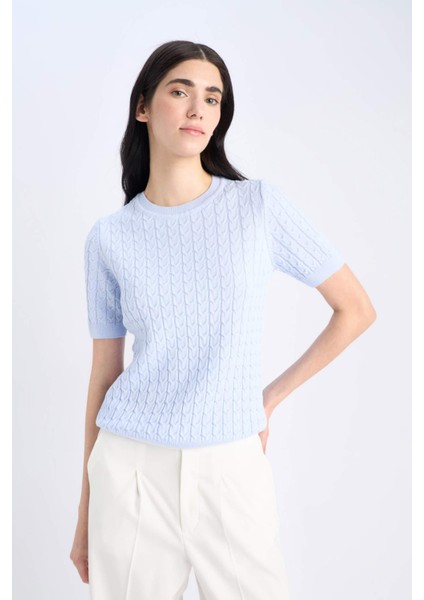 Regular Fit Bisiklet Yaka Basic Düz Triko Kısa Kollu Kazak D3306AX25SM