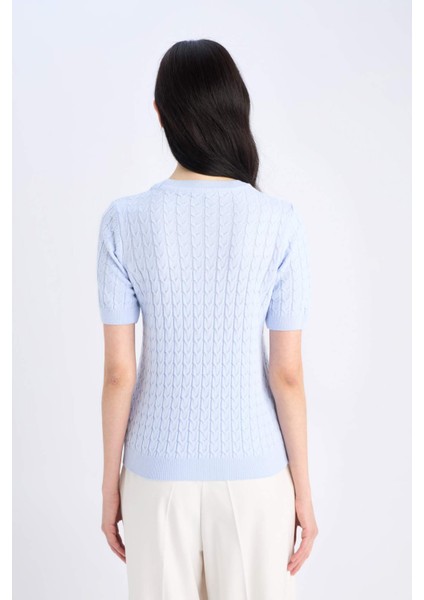 Regular Fit Bisiklet Yaka Basic Düz Triko Kısa Kollu Kazak D3306AX25SM