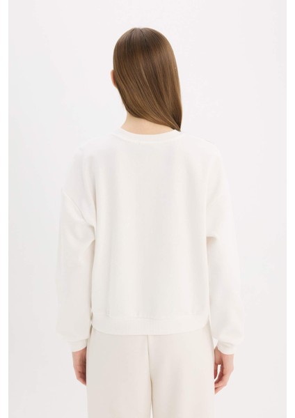 Regular Fit Bisiklet Yaka Kalın Basic Düz Sweatshirt D6645AX25SP