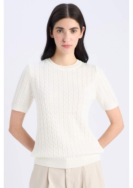 Regular Fit Bisiklet Yaka Basic Düz Triko Kısa Kollu Kazak D3306AX25SM