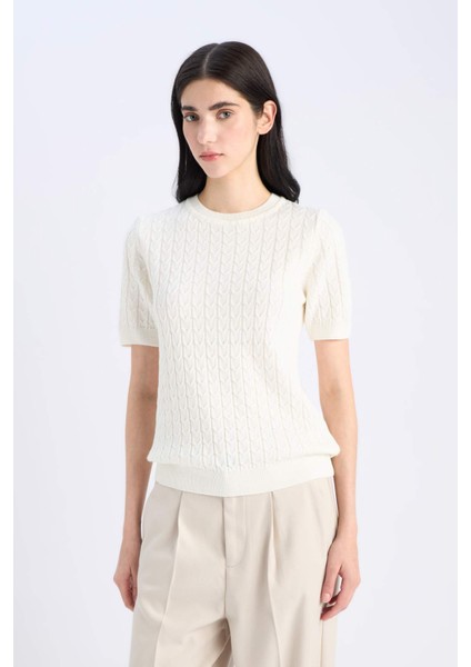 Regular Fit Bisiklet Yaka Basic Düz Triko Kısa Kollu Kazak D3306AX25SM