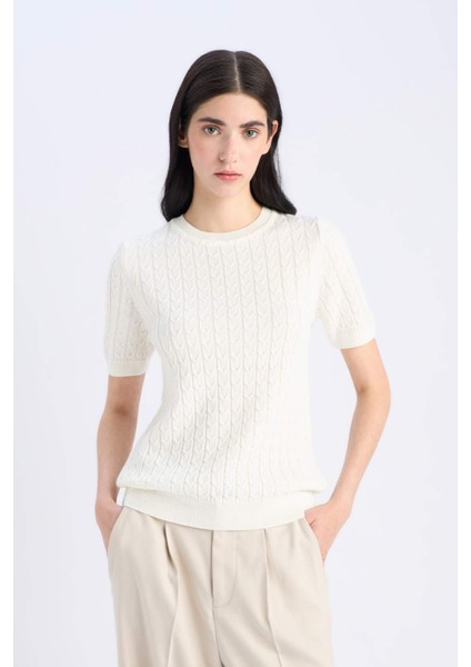 Regular Fit Bisiklet Yaka Basic Düz Triko Kısa Kollu Kazak D3306AX25SM