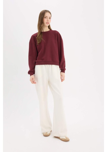 Regular Fit Bisiklet Yaka Kalın Basic Düz Sweatshirt D6645AX25SP