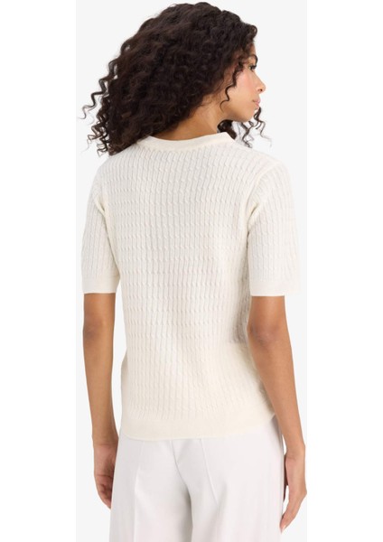 Regular Fit Bisiklet Yaka Kısa Kollu Triko Kazak D3306AX25AU