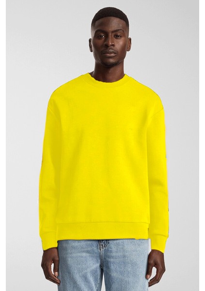 Erkek Bisiklet Yaka Rahat Kalıp 3 Iplik Içi Polarlı Kalın Sweatshirt SPR24SW36