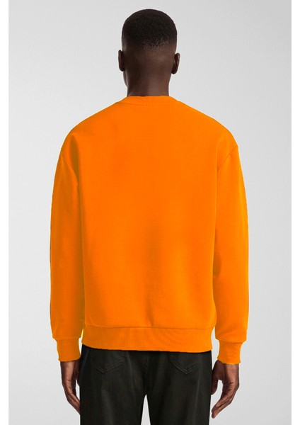 Erkek Bisiklet Yaka Rahat Kalıp 3 Iplik Içi Polarlı Kalın Sweatshirt SPR24SW36 fiyatları