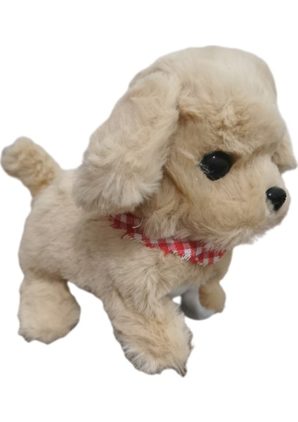 Pilli, Hareketli Oyuncak Köpek fırsatları