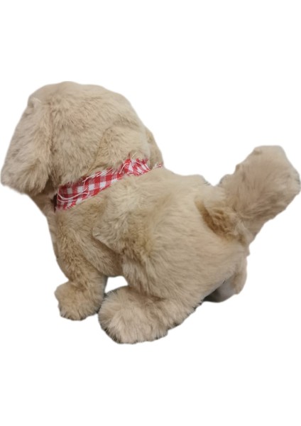 Pilli, Hareketli Oyuncak Köpek