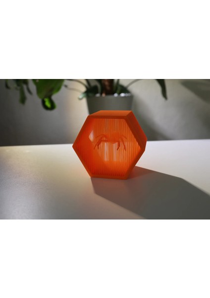 Asılı Örümcek fiyatları