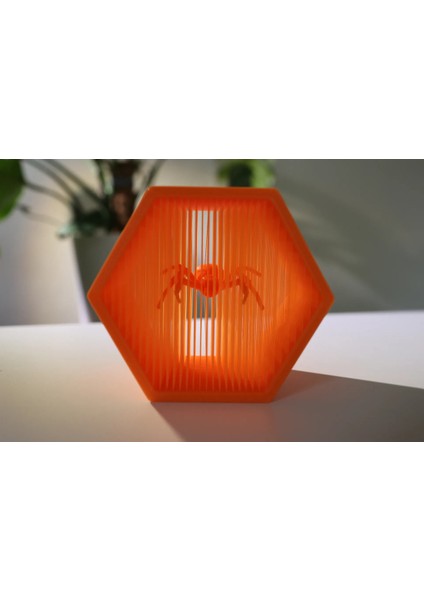 Asılı Örümcek modelleri