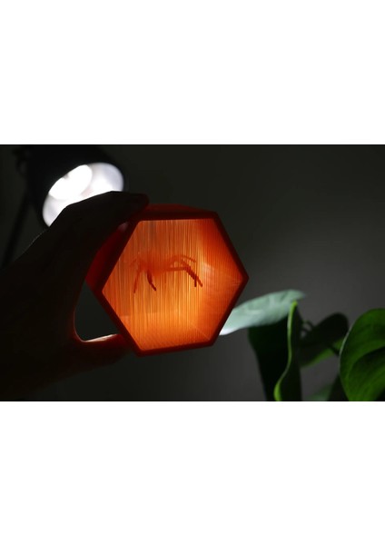 Asılı Örümcek fırsatları