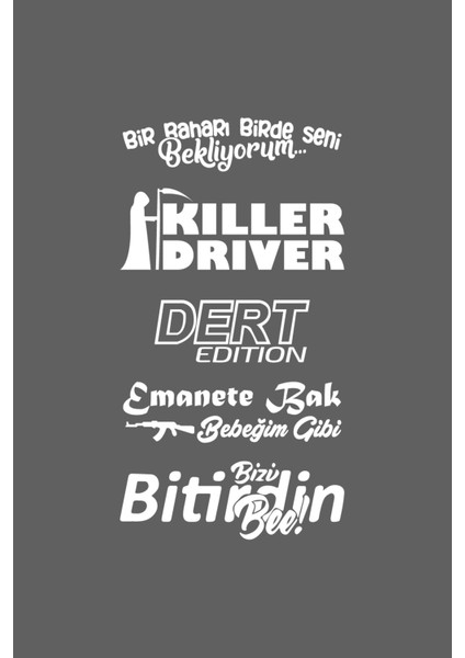 Oto Arka Cam Özel Yeni Sticker Model 54 Beyaz 40*20 cm