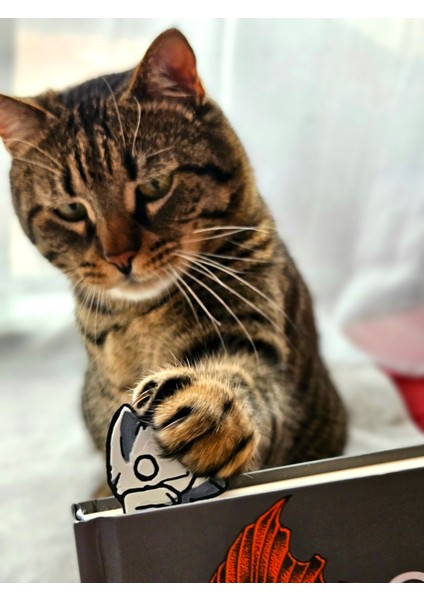 Zombie Cat Kabartmalı Kitap Ayracı indirimleri