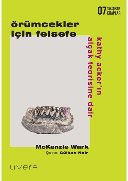 Örümcekler Için Felsefe: Kathy Acker’ın Alçak Teorisine Dair