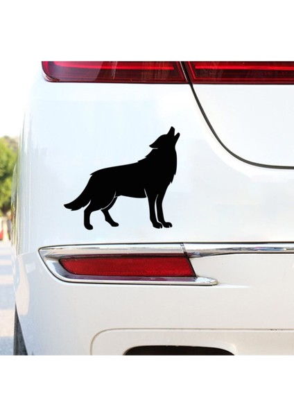 Kurt Tasarım Oto Özel Yeni Sticker 17*15 cm