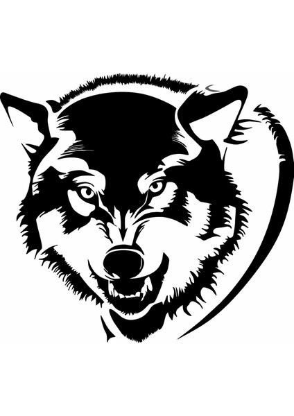 Börteçine Kurt Duvar Dekor Sticker 45 x 45 cm