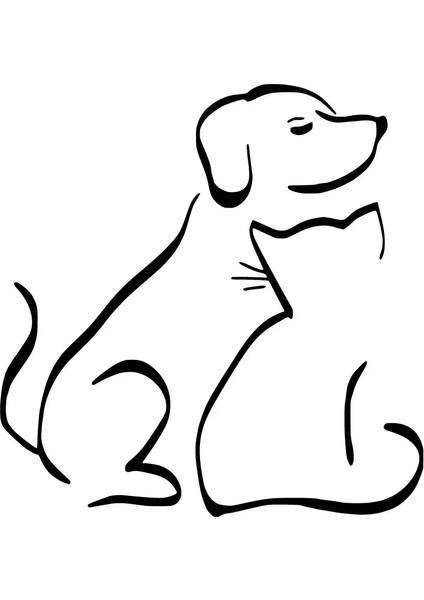 Kedi Köpek Dostluğu Duvar Dekor Sticker 40 x 40 cm