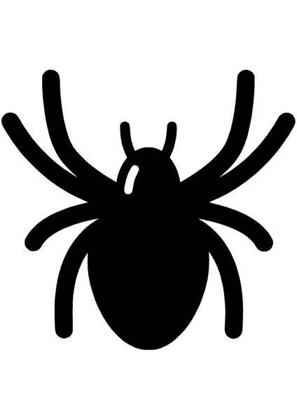 Sevimli Örümcek Sticker 20 x 20 cm