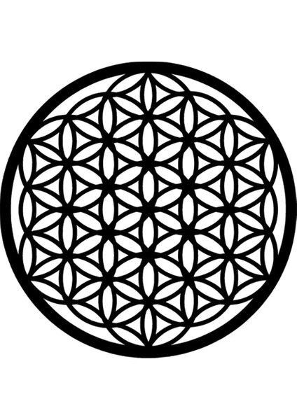 Yaşam Çiçeği Oto Özel Yeni Sticker Siyah 25 x 25 cm