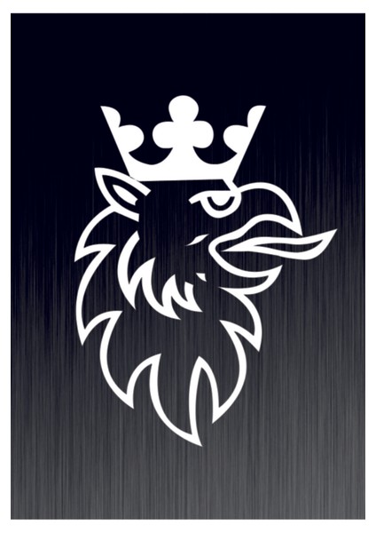 Scanıa R Logo Oto Özel Yeni Sticker 35*25 cm