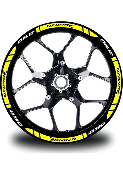 Bajaj Dominar 250 Dış Jant Şeridi Motosiklet Sticker Etiket Modeli