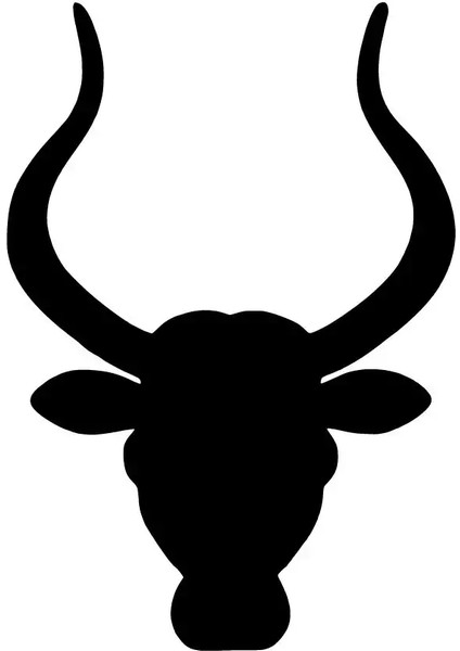 Boğa Sticker 10 x 14 cm