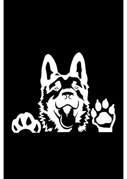 Kurt Köpeği Tasarım Sticker 30 x 26 cm modelleri