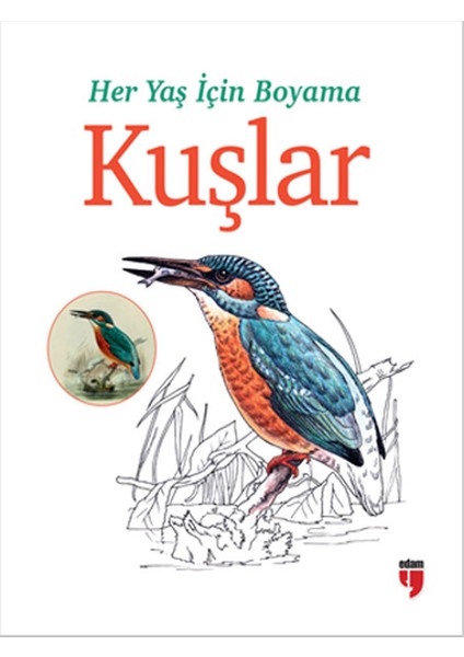 Her Yaş Için Boyama - Kuşlar