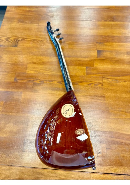 Profesyonel Ardıç Cura 29 Tekne Jak Girişli modelleri