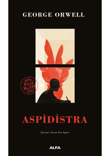 Aspidistra - Ciltsiz