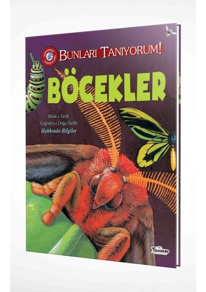 Bunları Tanıyorum! - Böcekler