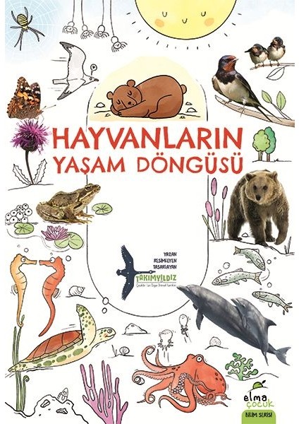 Hayvanların Yaşam Döngüsü